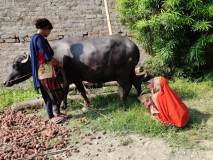 kaushikee-Gallery