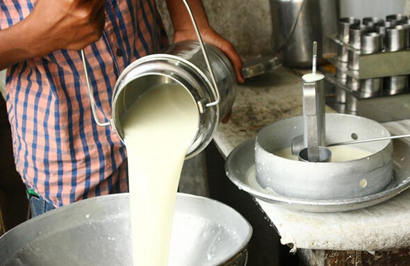 Kaushikee Milk Quality