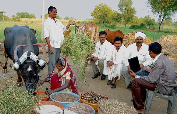 Kaushikee Milk Ration Balancing