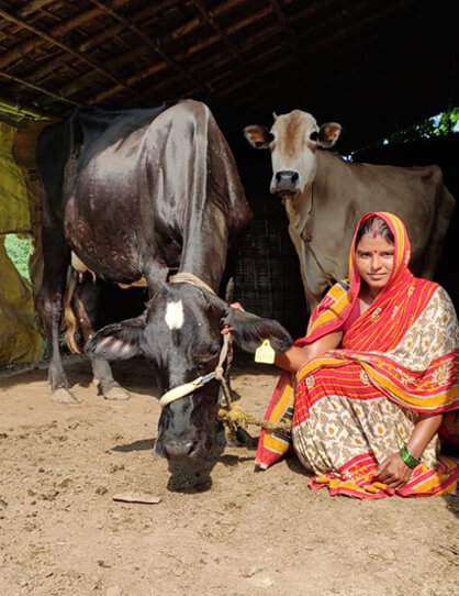 Women Empowerment - Kaushikee Mahila Milk Producer Company – Hatiya Gachhi,  Saharsa, Bihar