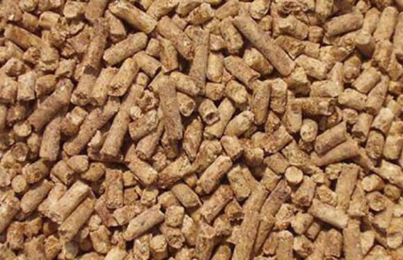 Cattle Feed